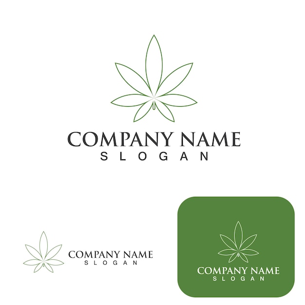 Vettore del logo della natura della salute delle foglie di cannabis