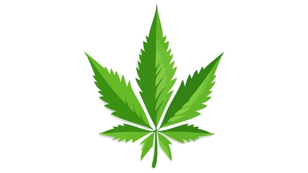 Cannabis leaf icon symbol sign vector marijuana icon on white background