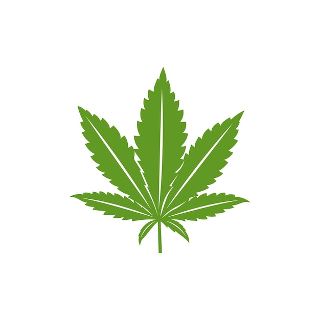 Cannabis leaf logo design vector template creative cannabis on white background