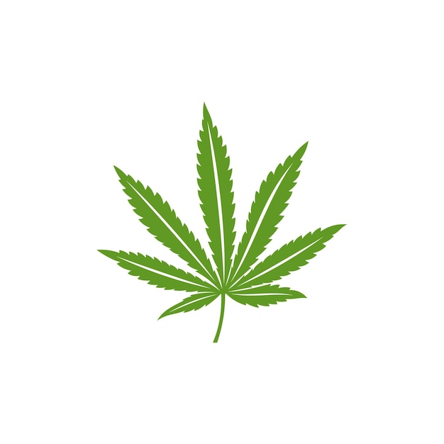 Cannabis leaf logo design vector template Creative Cannabis on white background