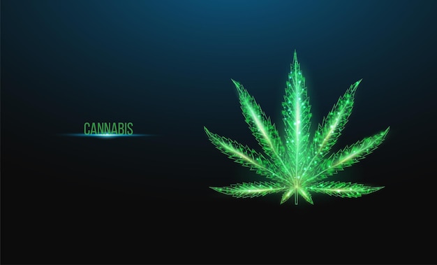 Foglia di cannabis. stile wireframe basso poli. il concetto di uso medico della marijuana, trattamento alternativo. abstract moderno 3d illustrazione vettoriale su sfondo blu scuro.