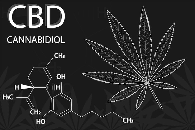 Cannabis leaf of sativa with formula cannabidiol