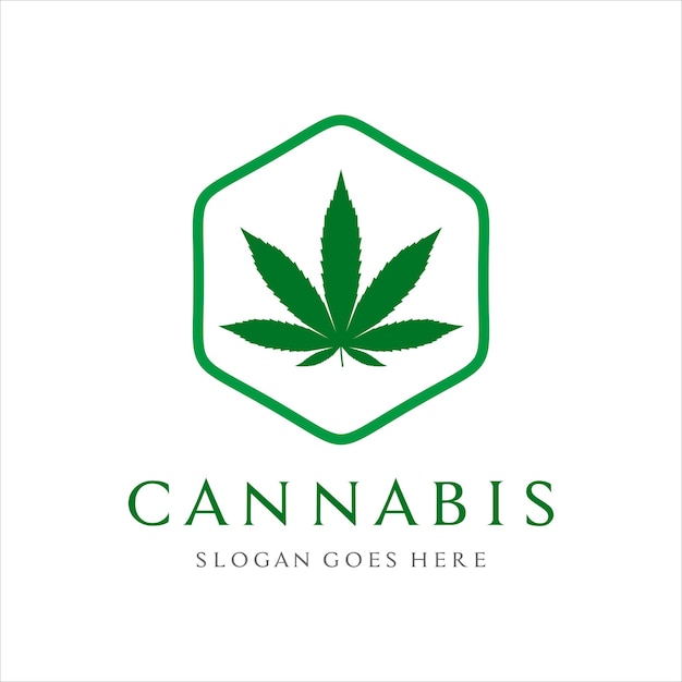 Vector cannabis leaf with hexagon shape logo design template vector
