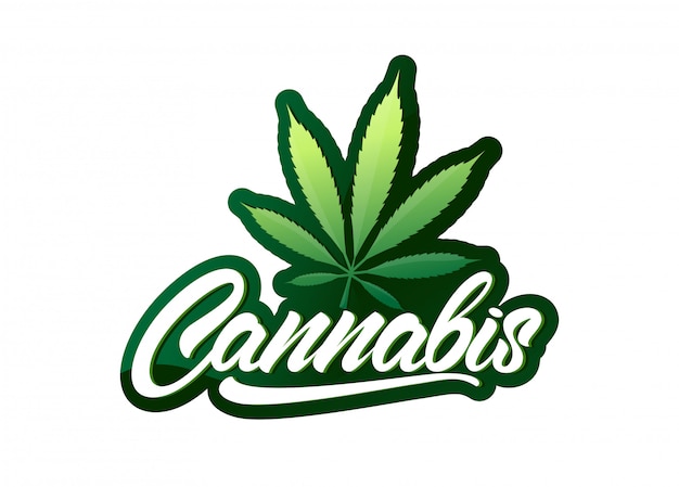 Cannabis in lettering style with leaf