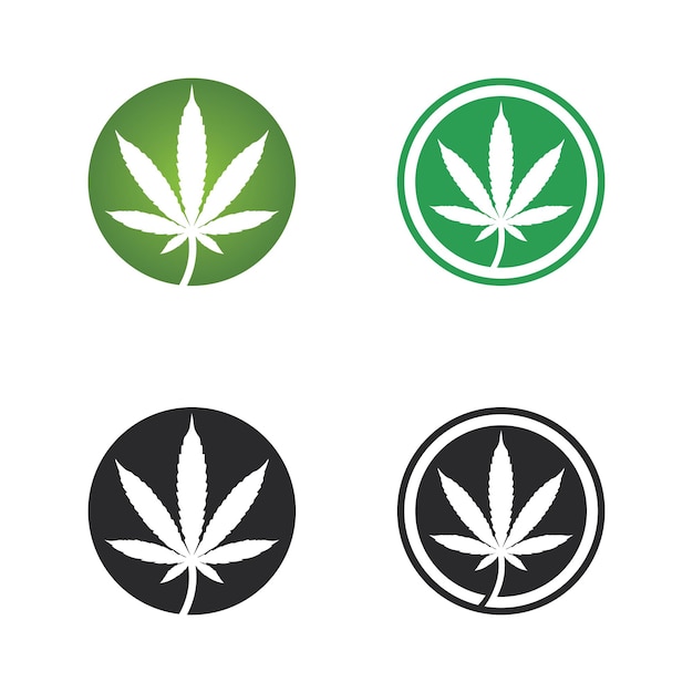 Cannabis logo en marihuana blad pictogram vector design