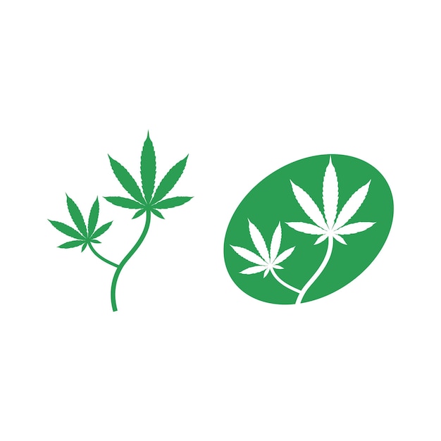 Cannabis logo and marijuana leaf icon vector design