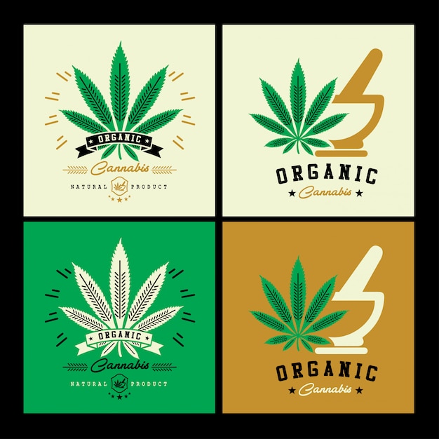 Vettore logo della cannabis