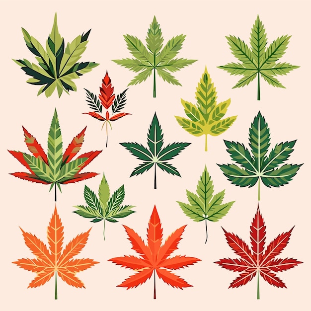 Cannabis marijuana weed leaves set in flat style