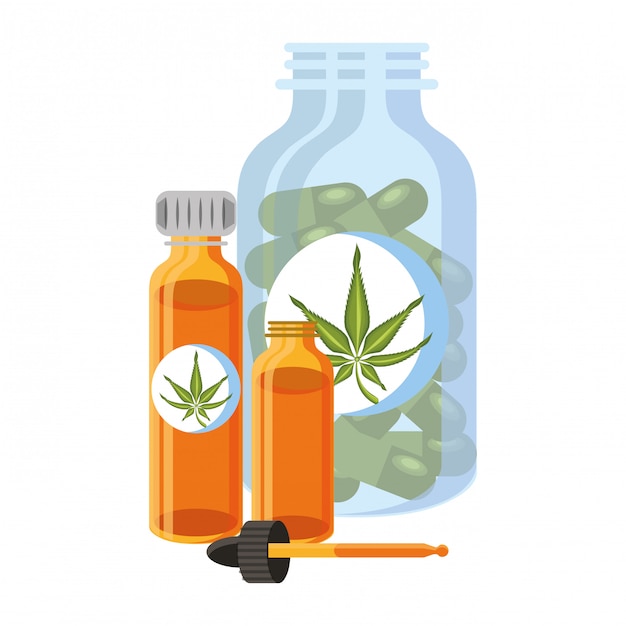 대마초 martihuana sativa 대마 만화