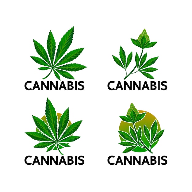 Cannabis per uso medico.