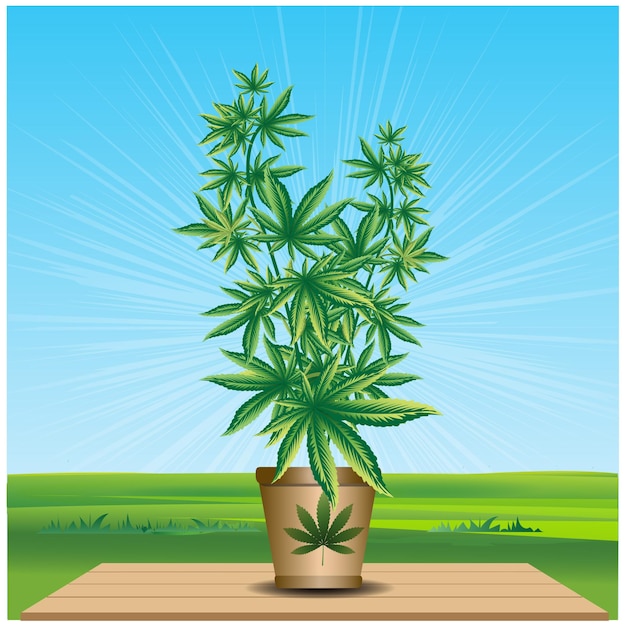 Vector cannabis plant