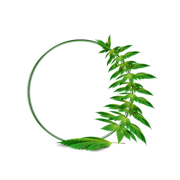 Vector cannabis round frame template