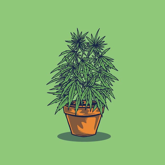 Vettore illustrazione vettoriale di albero di cannabis in vaso