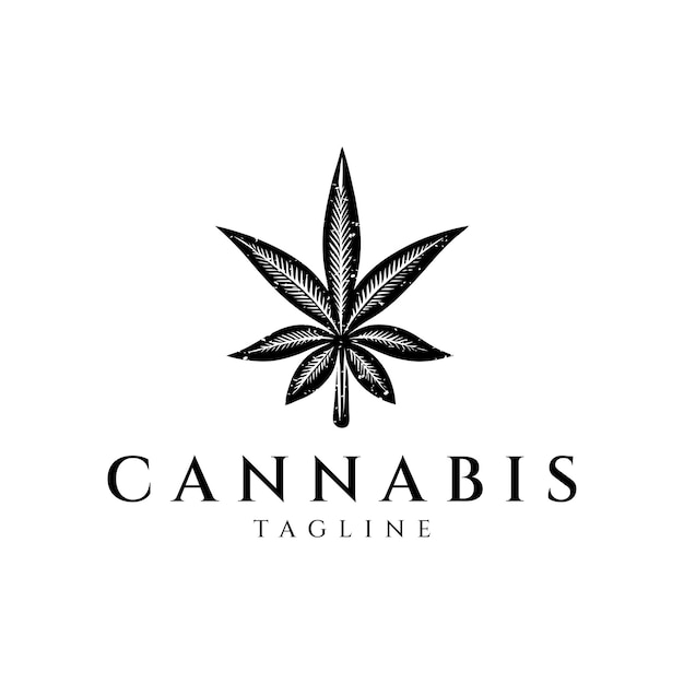 Illustrazione di vettore di progettazione di logo dell'annata della cannabis