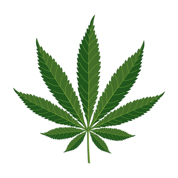 Cannabisblad geïsoleerd op witte achtergrond Marijuana blad Illustratie vector.