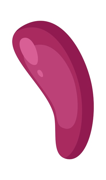 Vector canned eggplant flat icon conserved vegetable