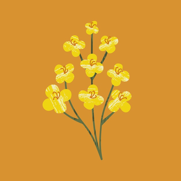 Vector canola op een witte geïsoleerde achtergrond gele handgetekende heldere bloemen bloeiende ontwerpelementen