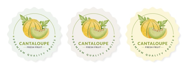 Modelli di progettazione di imballaggi di melone cantalupo, illustrazione vettoriale in stile acquerello.