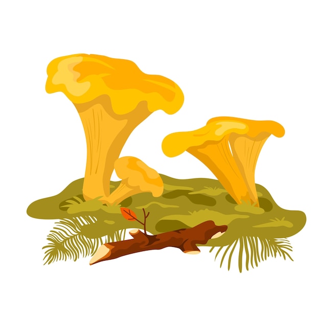 Cantharellen wilde paddenstoel in cartoonstijl