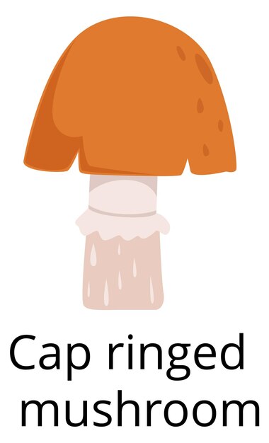 Cap ringed mushroom icon Forest season symbol