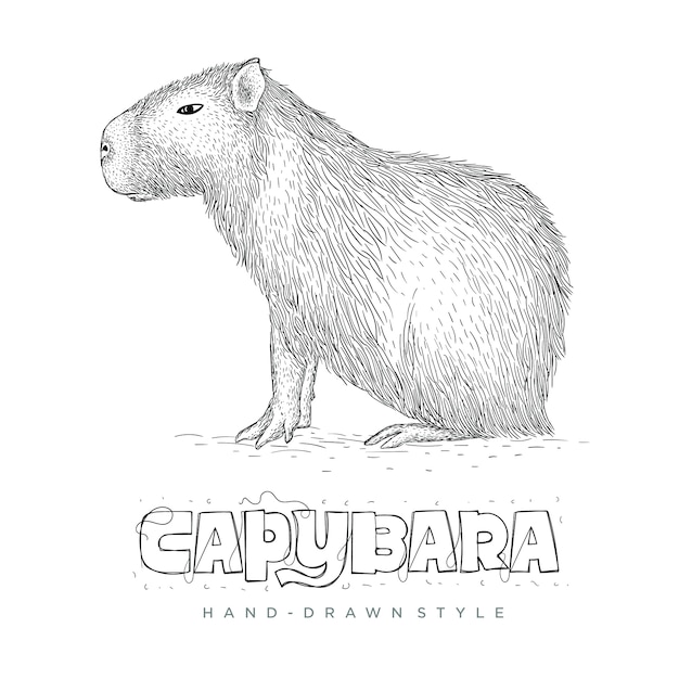 Vector capibara hand getekend dier illustratie