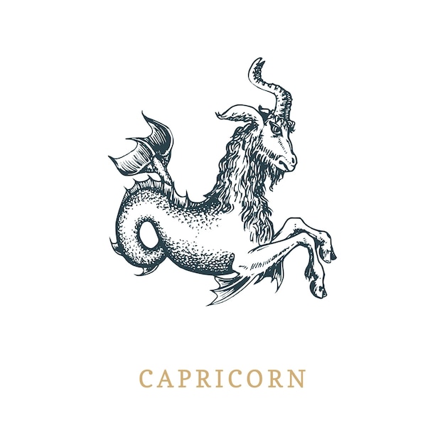 Capricorn zodiac symbol hand drawn in engraving style Vector graphic retro illustration of astrological sign Seagoat