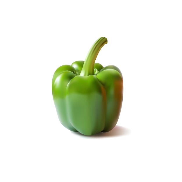 Capsicum Illustration