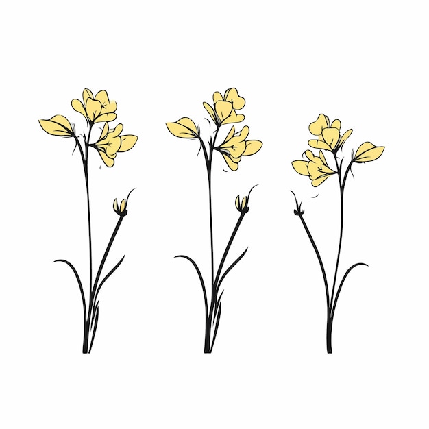 Vector captivating cowslip artwork in a modern vector style