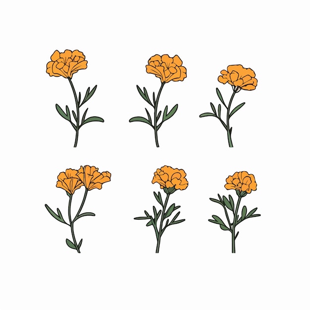 Captivating marigold illustration in a modern style