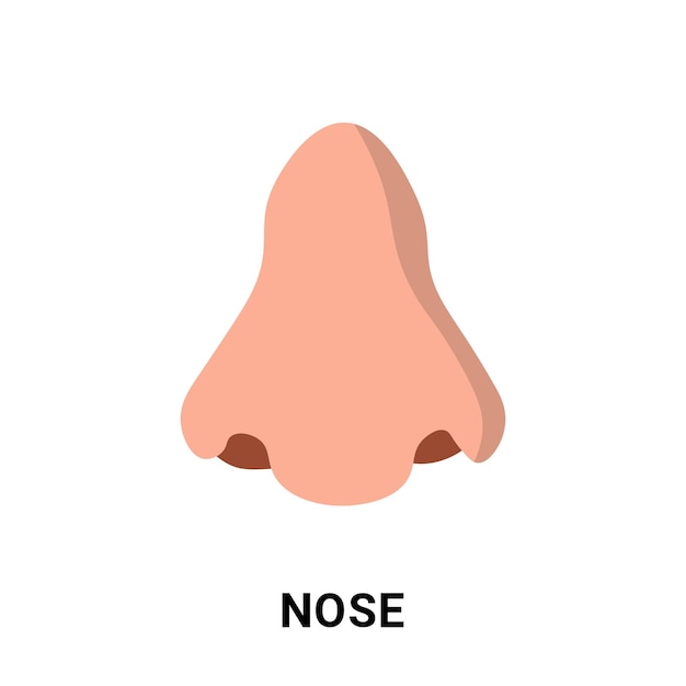Captivating Nose Baby Flashcards Boost Vocabulary with Digital Downloads for Early Education