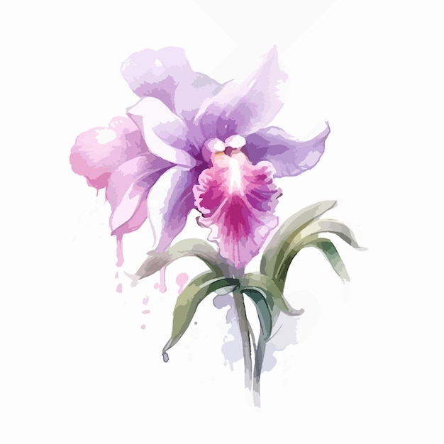 Captivating watercolor illustration featuring the grace of an orchid