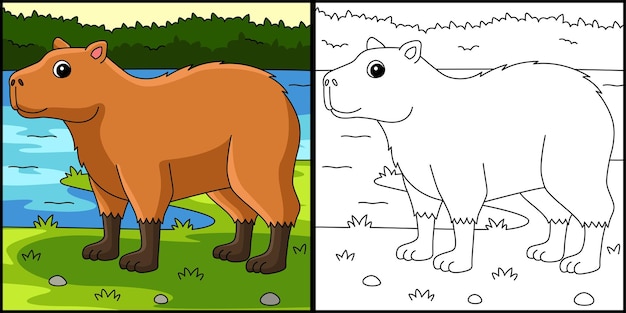 Capybara Animal Coloring Page Illustration