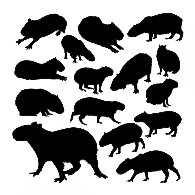 Capybara animal silhouette