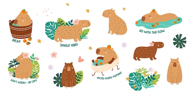 Vector capybara cartoon set grappige capybara dier vector collectie met positieve zinnen