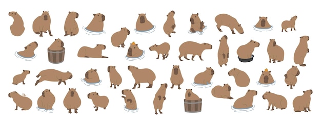 Vettore collezione capybara 1 carino su un sfondo bianco illustrazione vettoriale