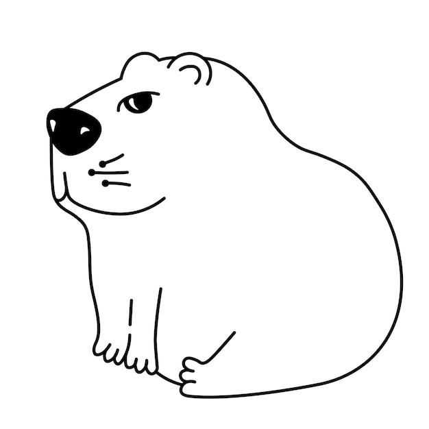 Capybara cutwater animal