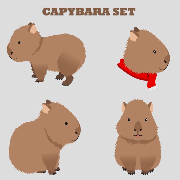 Vector capybara set