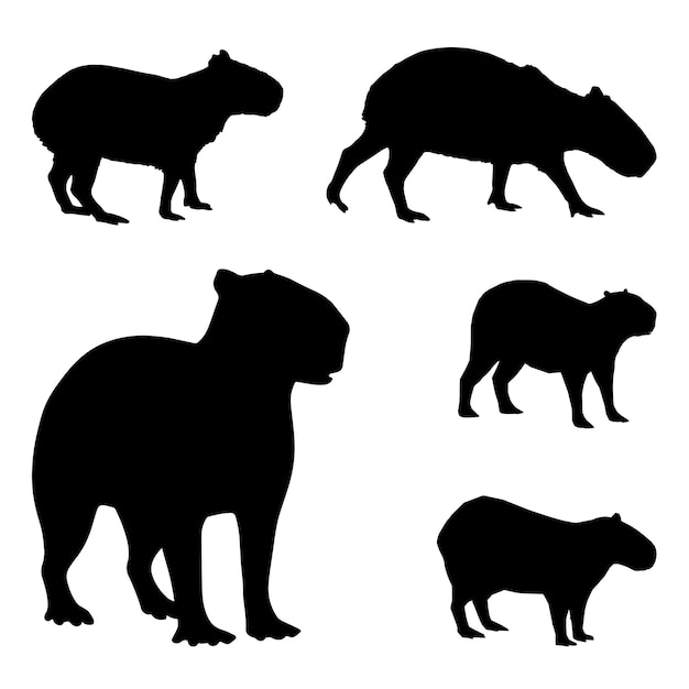 Capybara silhouette isolated black on white background