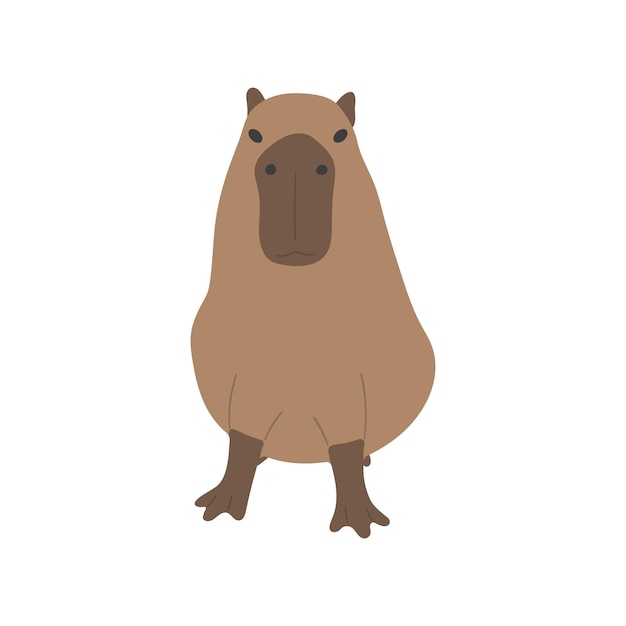 Vector capybara single 17