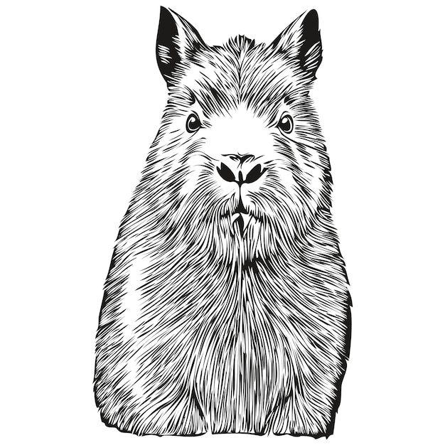 Capybara vector illustration line art drawing black and white capybaras