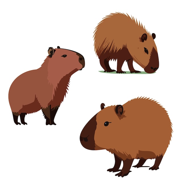 Vettore illustrazione vettoriale di capybara