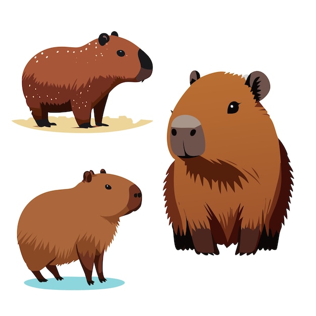 Vector capybara vector illustration