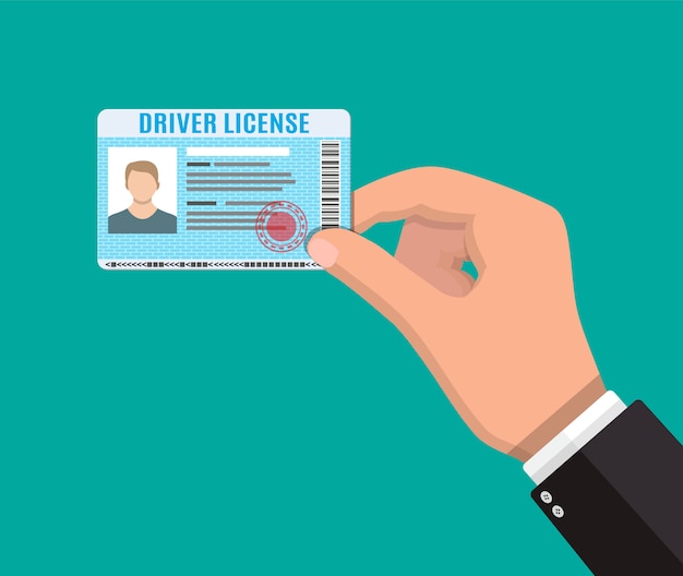 Vector car driver license identification card with photo.