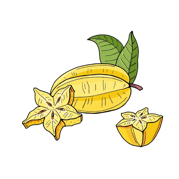 Carambola or starfruit.yellow tropical fruits and pieces on white background.bright summer  illustration.exotic natural food.