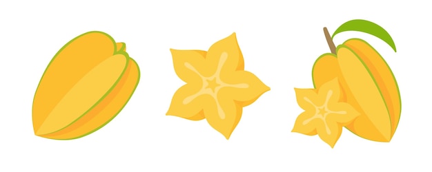 Carambola vector star shaped yellow fruit