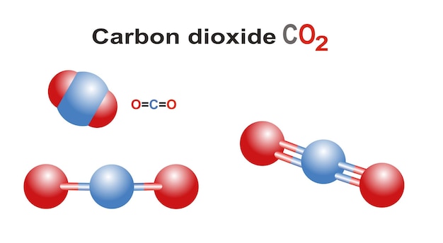 Vettore centro di anidride carbonica co2 per l'educazione scientifica