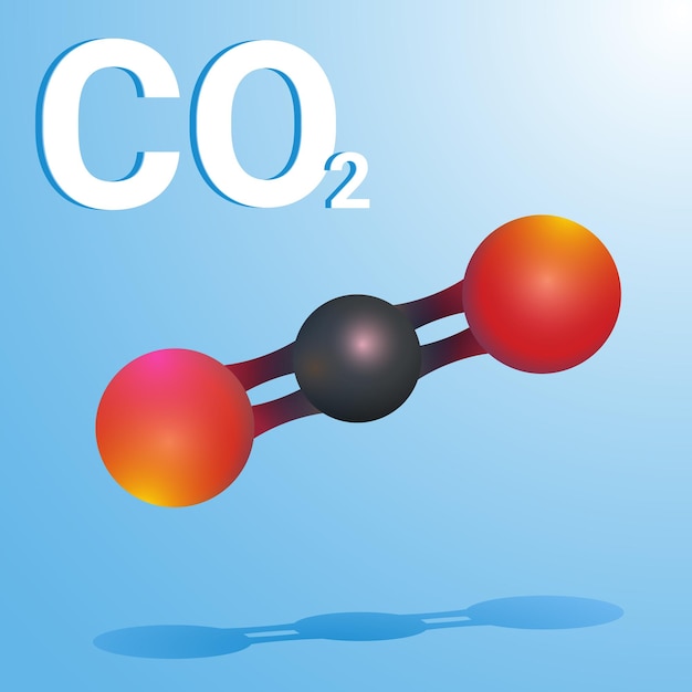 Vector carbon dioxide molecule