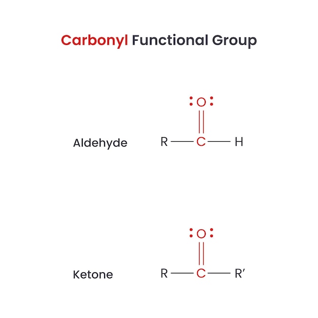 벡터 카르보닐 생화학 기능 그룹 알데하이드 및 케톤 벡터 과학 인포그래픽