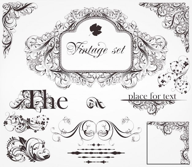 Vector card flower frame elegance typographic