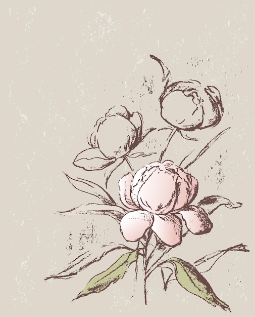 Card of sketches of peonies bunch